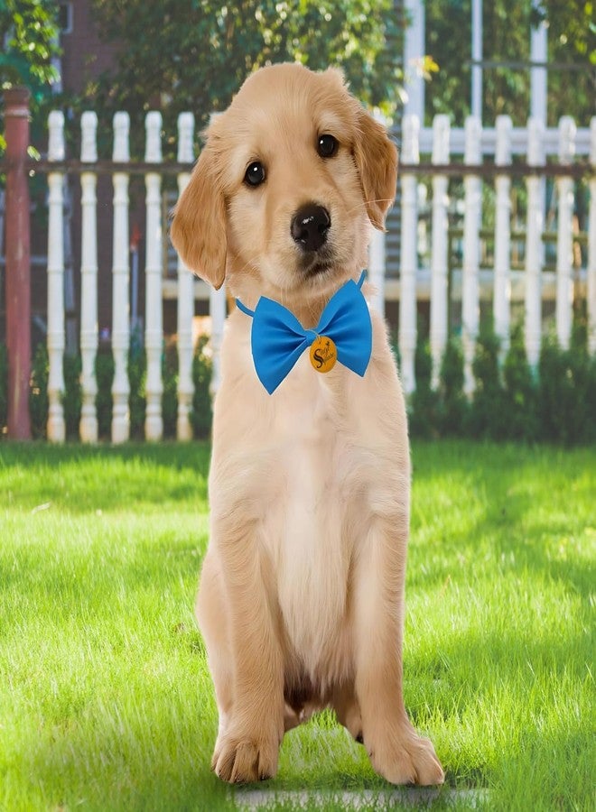 Sage Square Dog Tie & Bow Tie Combo - Stylish Accessories | Adjustable Fit for Comfort | Small to Large Breeds | Elegant & Adorable Design for Special Occasions | Everyday Wear (Random Colour) - Image 4